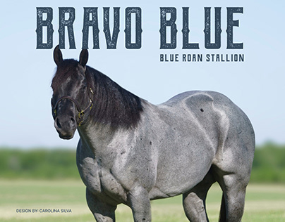 Bravo Blue Top 10 Cutting Horse 2021